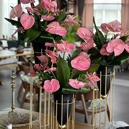 Only One & Residences Apartament Antalya